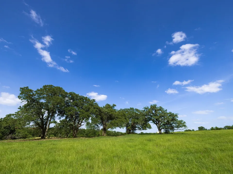 Brazos Sands Ranch | 1,136.26-Acre Luxury Ranch, Hunting & Recreational Land in Calvert, Texas