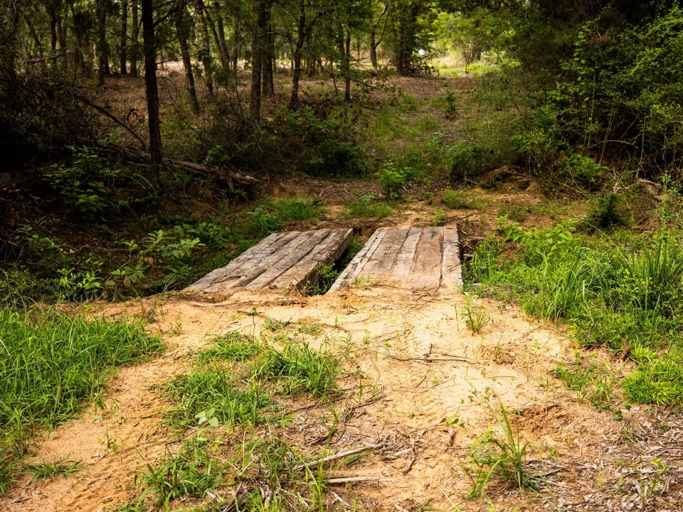 Brazos Sands Ranch | 1,136.26-Acre Luxury Ranch, Hunting & Recreational Land in Calvert, Texas