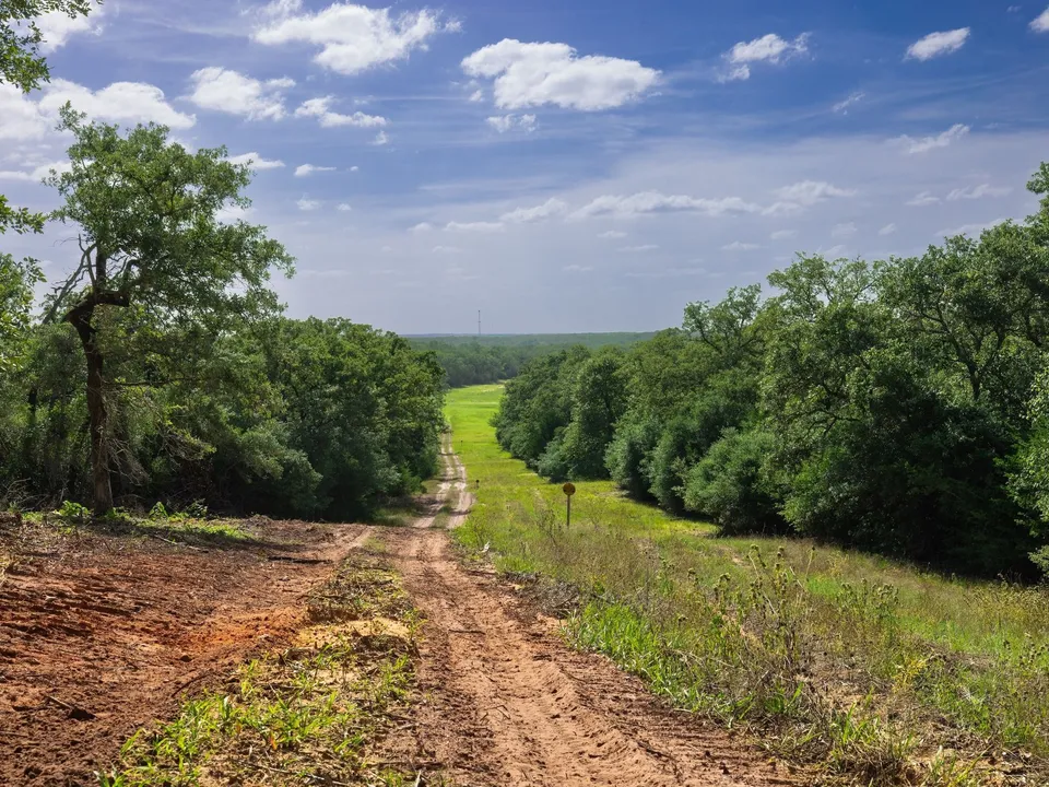 Brazos Sands Ranch | 1,136.26-Acre Luxury Ranch, Hunting & Recreational Land in Calvert, Texas