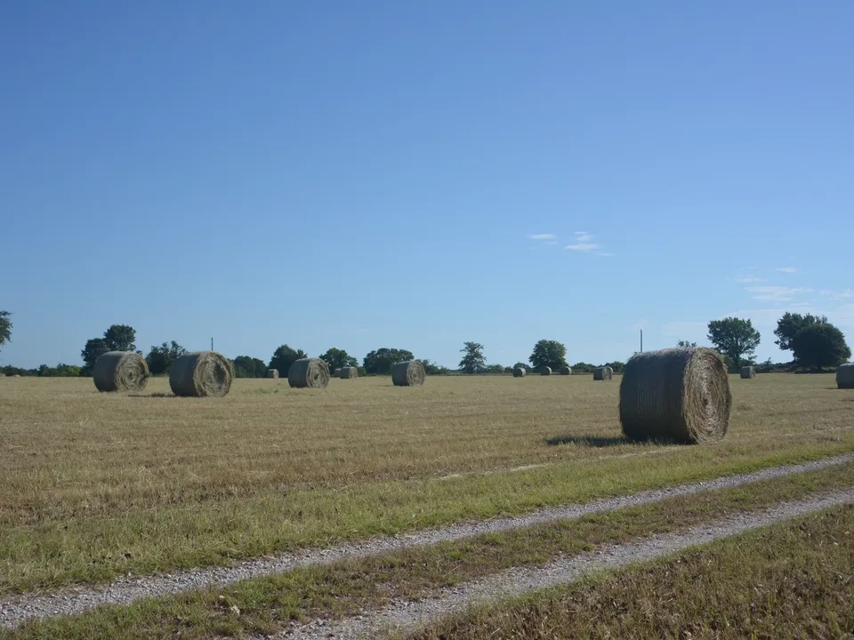 Justice Ranch | 89.4 Acres Luxury Ranch with Custom Home for Sale in Sunset, Texas
