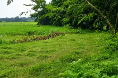 পূর্বাচল কালীগঞ্জের তুমুলিয়া ইউনিয়নে আরা ও চড়াখোলা মৌজায় জমি বিক্রয়